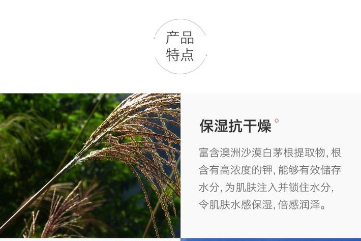 1502429814930577.jpg 3.jpg