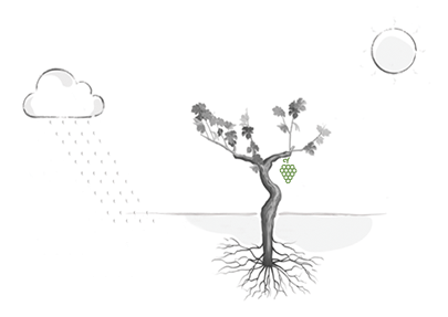 1502419917126865.gif 6.gif